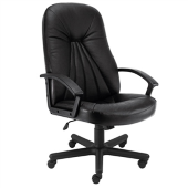 Dc9101 - Director Chair